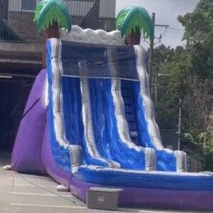 20ft Dual lane Waterslide